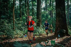 BIB: 
                            <button type="button" onclick="openModal(26131651)" class="btn btn-primary btn-sm float-right btn-popup" data-toggle="modal" data-target=".modal-high-quality">
                        <i class="fas fa-shopping-cart"></i> Add to Cart
                    </button>
                                            <button type="button" onclick="isThisMe(26131651, true)" class="btn btn-success btn-sm float-right btn-popup btn-isme hidden" data-toggle="tooltip" data-placement="bottom" title="นี่คือรูปของคุณใช่ไหม คลิกที่นี่เพื่อเอาเข้าอัลบั้ม">
                        <i class="fas fa-plus"></i> Add to album
                    </button>
                    <button type="button" onclick="isThisMe(26131651, false)" class="btn btn-warning btn-sm float-right btn-popup btn-isnotme hidden">
                        <i class="fas fa-ban"></i> Remove from album
                    </button>